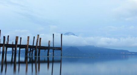 Sergio Pettis vs. Mitch McKee Headlines PFL Chicago This April – Grab Your Tickets Today!