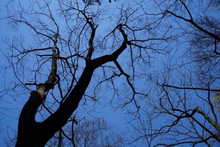 Hometown Hero Set to Shine at PFL Sioux Falls on May 2 Hometown Hero Set to Shine at PFL Sioux Falls on May 2