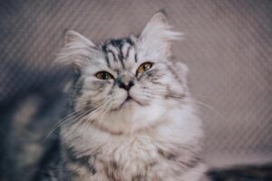 Dodgers’ 1M Payroll Fuels Tension Ahead of Critical MLB Labor Talks