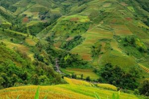 Rising Stars: Ratkovic and Mashni Shine with Weekly Tennis Accolades!