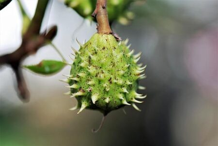 Dominating Victory: Buckeyes Sweep Scarlet Knights in Impressive Showdown! Dominating Victory: Buckeyes Sweep Scarlet Knights in Impressive Showdown!