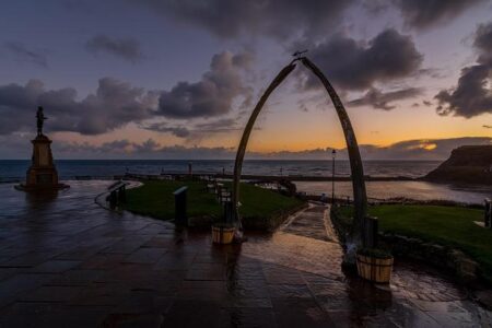 England Captain Abruptly Exits South Africa Training Camp in Unexpected Twist