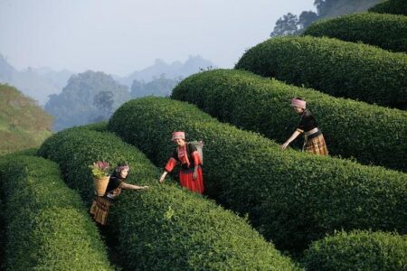 Experience Fayetteville Proudly Backs Team USA Women’s World Championship Squad