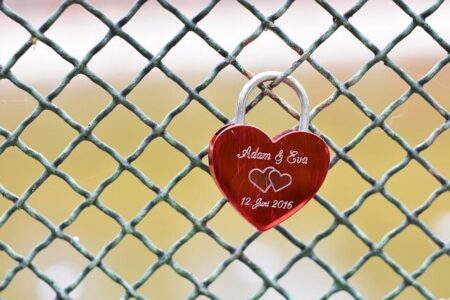 Adam Borics Aims for PFL Featherweight Glory in 2026 Championship Quest