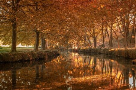 LAFC Roars to Life with a Stunning 3-0 Victory Over Cruz Azul