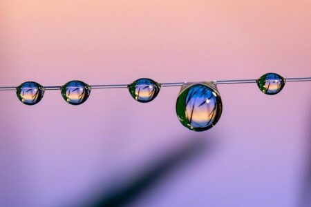 Explore Ja Morant’s Breathtaking .5 Million Dream Home in Memphis Explore Ja Morant’s Breathtaking .5 Million Dream Home in Memphis