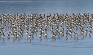 Top Highlights from the Washington Wizards’ Exciting Three-Game Preseason Showcase