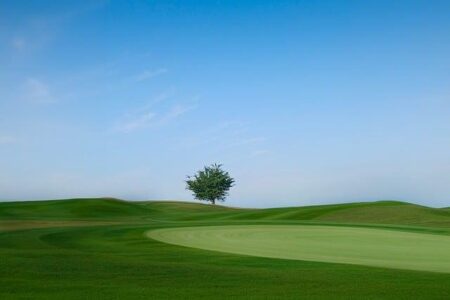 Cast Your Vote: Help Us Choose Fairfax County’s Top Golf Course! Cast Your Vote: Help Us Choose Fairfax County’s Top Golf Course!