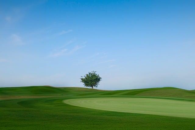 Cast Your Vote: Help Us Choose Fairfax County’s Top Golf Course! Cast Your Vote: Help Us Choose Fairfax County’s Top Golf Course!