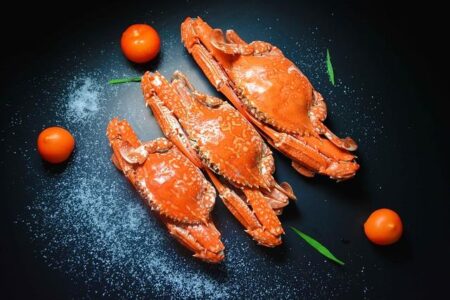 Incredible Journey: Swimming Crab Survives Two Months Adrift Inside a Plastic Bottle at Sea Incredible Journey: Swimming Crab Survives Two Months Adrift Inside a Plastic Bottle at Sea