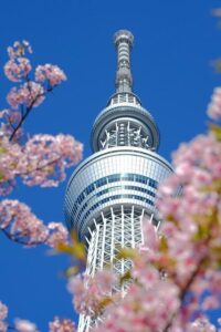 Tokyo final preview and prediction: Alcaraz vs. Lehecka